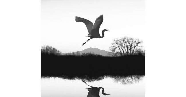 BIM建筑|LAD天然建筑计划:美发生于不成思议的自然力 BIM建筑|LAD天然建筑计划:美发生于不成思议的自然力