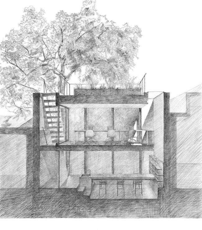 BIM建筑|樹院 / 兼建筑 BIM建筑|樹院 / 兼建筑