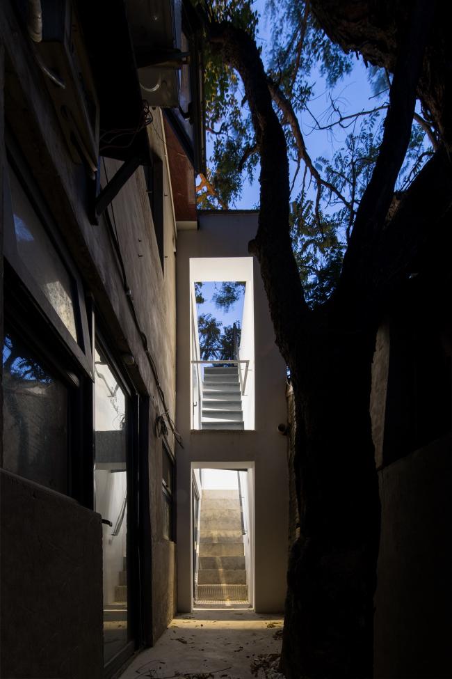 BIM建筑|樹院 / 兼建筑 BIM建筑|樹院 / 兼建筑