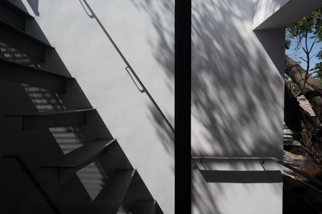 BIM建筑|樹院 / 兼建筑 BIM建筑|樹院 / 兼建筑