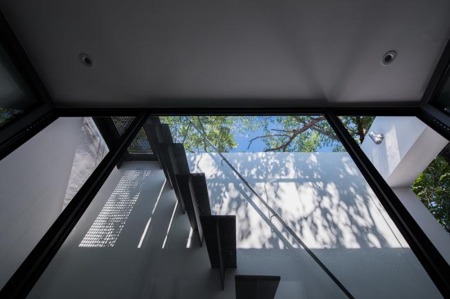 BIM建筑|樹院 / 兼建筑 BIM建筑|樹院 / 兼建筑