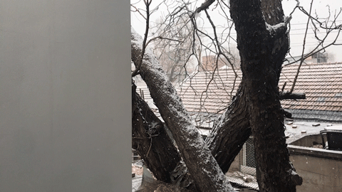 BIM建筑|樹院 / 兼建筑 BIM建筑|樹院 / 兼建筑