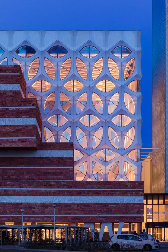 BIM建筑|荷兰国度生物多样性研讨所:Naturalis / Neutelings Riedijk 建筑事务所 建筑鉴赏 第13张-BIM建筑网 BIM建筑|荷兰国度生物多样性研讨所:Naturalis / Neutelings Riedijk 建筑事务所 建筑鉴赏 第13张