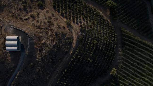 BIM建筑|盛开在葡萄庄园里的一朵山花:OFMA 办公楼,智利 / MAPAA 建筑鉴赏 第2张-BIM建筑网 BIM建筑|盛开在葡萄庄园里的一朵山花:OFMA 办公楼,智利 / MAPAA 建筑鉴赏 第2张