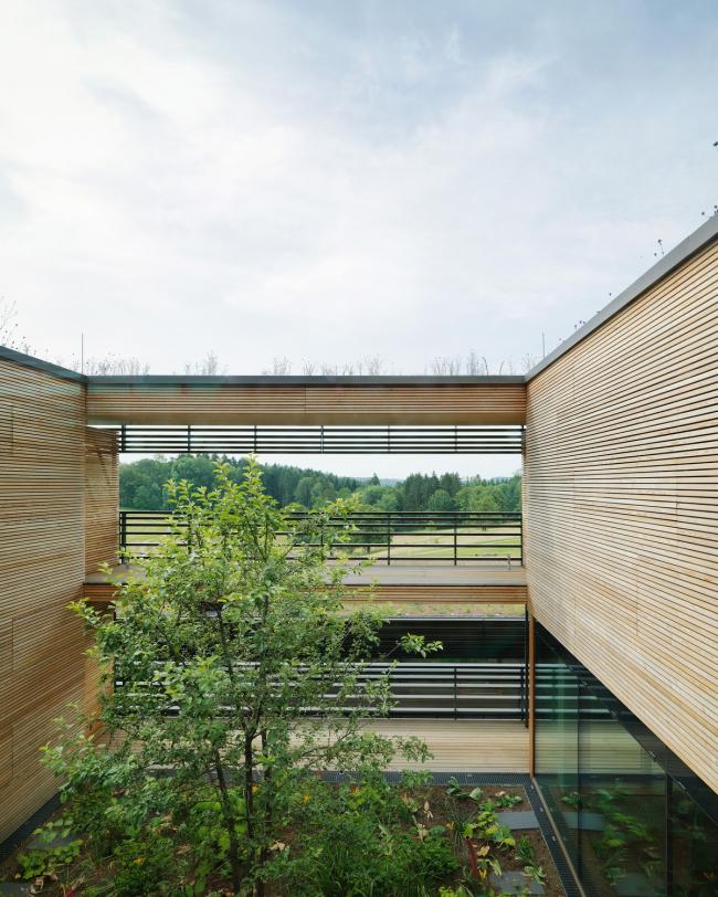 BIM建筑|错落于丘陵原野之上的疗养中间 / Dietger Wissounig Architekten 建筑鉴赏 第8张-BIM建筑网 BIM建筑|错落于丘陵原野之上的疗养中间 / Dietger Wissounig Architekten 建筑鉴赏 第8张