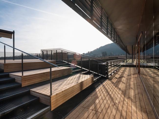 BIM建筑|错落于丘陵原野之上的疗养中间 / Dietger Wissounig Architekten 建筑鉴赏 第17张-BIM建筑网 BIM建筑|错落于丘陵原野之上的疗养中间 / Dietger Wissounig Architekten 建筑鉴赏 第17张