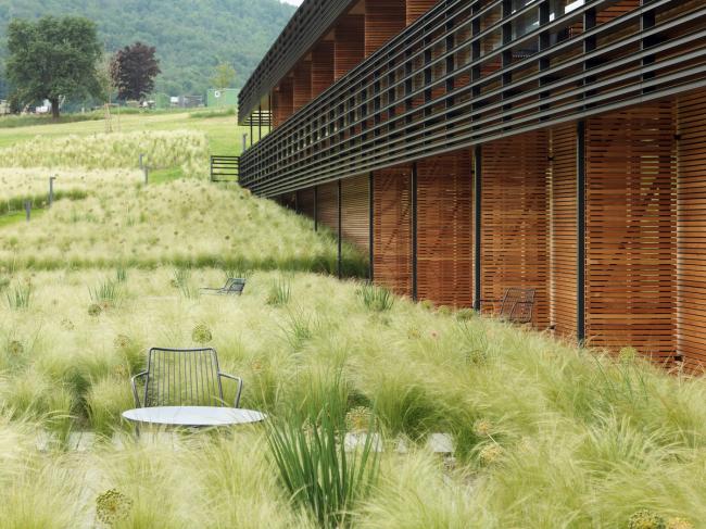 BIM建筑|错落于丘陵原野之上的疗养中间 / Dietger Wissounig Architekten 建筑鉴赏 第24张-BIM建筑网 BIM建筑|错落于丘陵原野之上的疗养中间 / Dietger Wissounig Architekten 建筑鉴赏 第24张