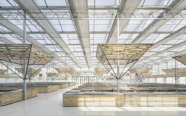 BIM建筑|成功市场姑且安顿点 / 罗宇杰工作室 建筑鉴赏 第26张-BIM建筑网 BIM建筑|成功市场姑且安顿点 / 罗宇杰工作室 建筑鉴赏 第26张