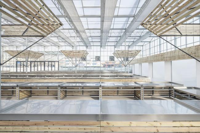 BIM建筑|成功市场姑且安顿点 / 罗宇杰工作室 建筑鉴赏 第28张-BIM建筑网 BIM建筑|成功市场姑且安顿点 / 罗宇杰工作室 建筑鉴赏 第28张