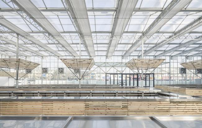 BIM建筑|成功市场姑且安顿点 / 罗宇杰工作室 建筑鉴赏 第27张-BIM建筑网 BIM建筑|成功市场姑且安顿点 / 罗宇杰工作室 建筑鉴赏 第27张