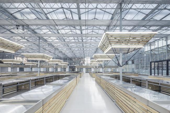 BIM建筑|成功市场姑且安顿点 / 罗宇杰工作室 建筑鉴赏 第30张-BIM建筑网 BIM建筑|成功市场姑且安顿点 / 罗宇杰工作室 建筑鉴赏 第30张