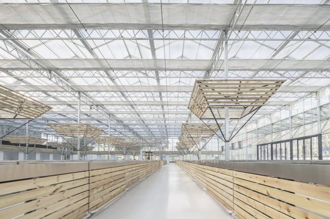 BIM建筑|成功市场姑且安顿点 / 罗宇杰工作室 建筑鉴赏 第29张-BIM建筑网 BIM建筑|成功市场姑且安顿点 / 罗宇杰工作室 建筑鉴赏 第29张