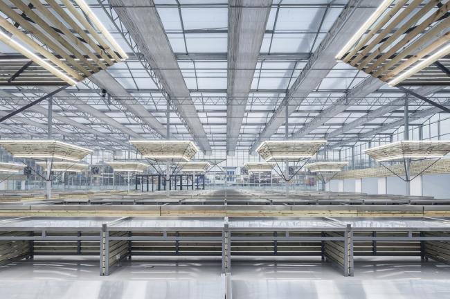 BIM建筑|成功市场姑且安顿点 / 罗宇杰工作室 建筑鉴赏 第31张-BIM建筑网 BIM建筑|成功市场姑且安顿点 / 罗宇杰工作室 建筑鉴赏 第31张