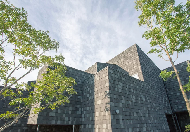 BIM建筑|栖于枝梢——日本MK公寓 / 1-1 architects 建筑鉴赏 第3张-BIM建筑网 BIM建筑|栖于枝梢——日本MK公寓 / 1-1 architects 建筑鉴赏 第3张