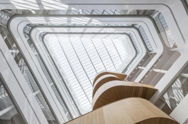 BIM建筑|乌普萨拉年夜学行政楼 / 3XN 建筑鉴赏 第6张-BIM建筑网 BIM建筑|乌普萨拉年夜学行政楼 / 3XN 建筑鉴赏 第6张