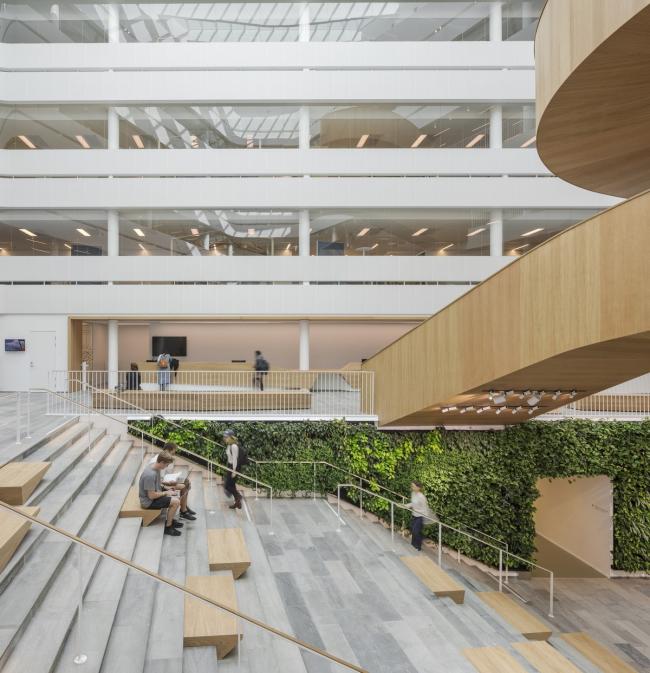 BIM建筑|乌普萨拉年夜学行政楼 / 3XN 建筑鉴赏 第10张-BIM建筑网 BIM建筑|乌普萨拉年夜学行政楼 / 3XN 建筑鉴赏 第10张