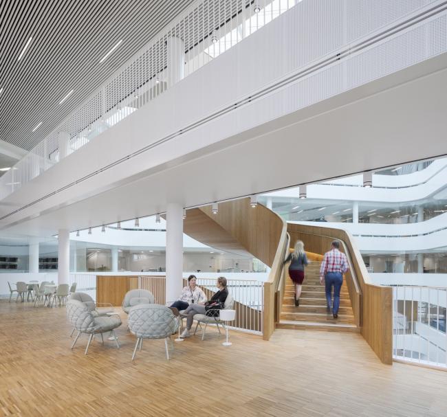 BIM建筑|乌普萨拉年夜学行政楼 / 3XN 建筑鉴赏 第13张-BIM建筑网 BIM建筑|乌普萨拉年夜学行政楼 / 3XN 建筑鉴赏 第13张