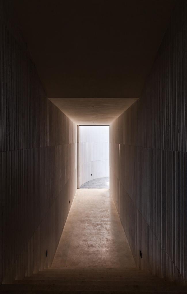 BIM建筑|湖泊下阅读,树影行过的时间 / 水相设计 BIM建筑|湖泊下阅读,树影行过的时间 / 水相设计