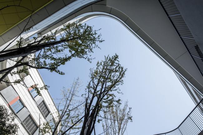 BIM建筑|漂浮的立体校园——浙江大学教育学院附属中学 / 浙江大学建筑设计研究院有限公司-BIM建筑网