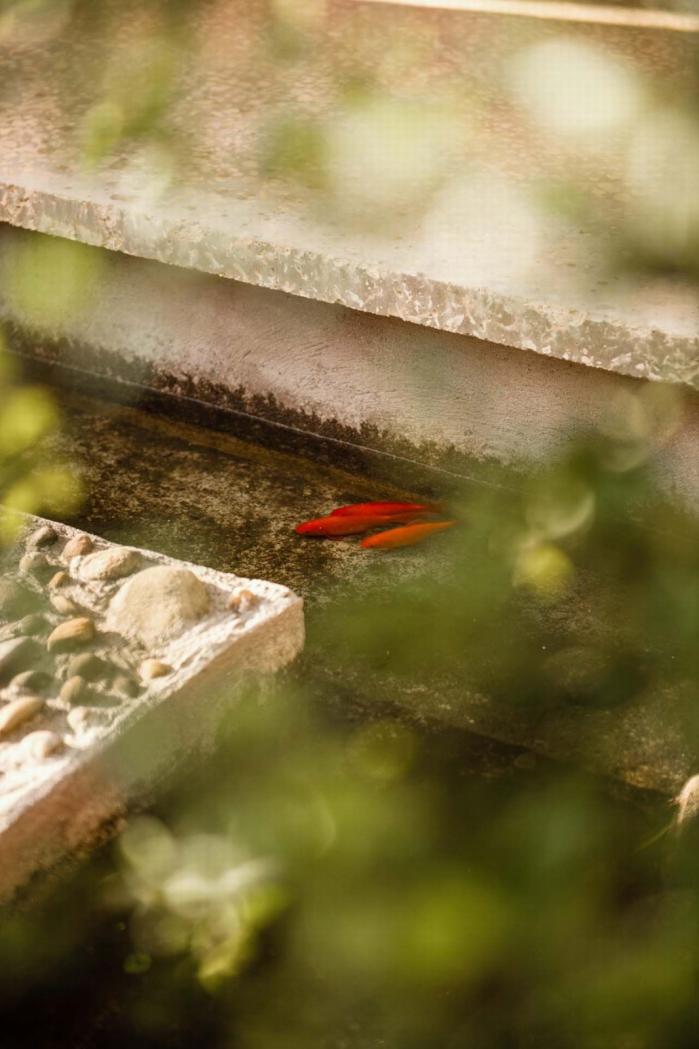 BIM建筑|一方院落,隐于悠然远山:云南曲靖赵宅 / 青岛川拓建筑设计工作室 BIM建筑|一方院落,隐于悠然远山:云南曲靖赵宅 / 青岛川拓建筑设计工作室