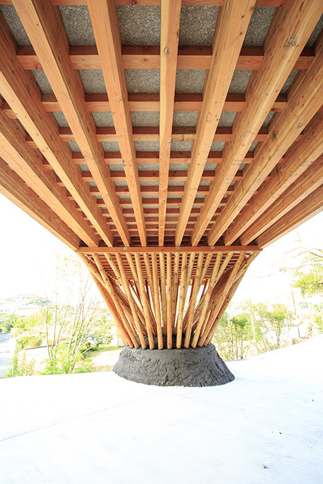 BIM建筑|嵌入地形的“V”形木屋 / ADX BIM建筑|嵌入地形的“V”形木屋 / ADX