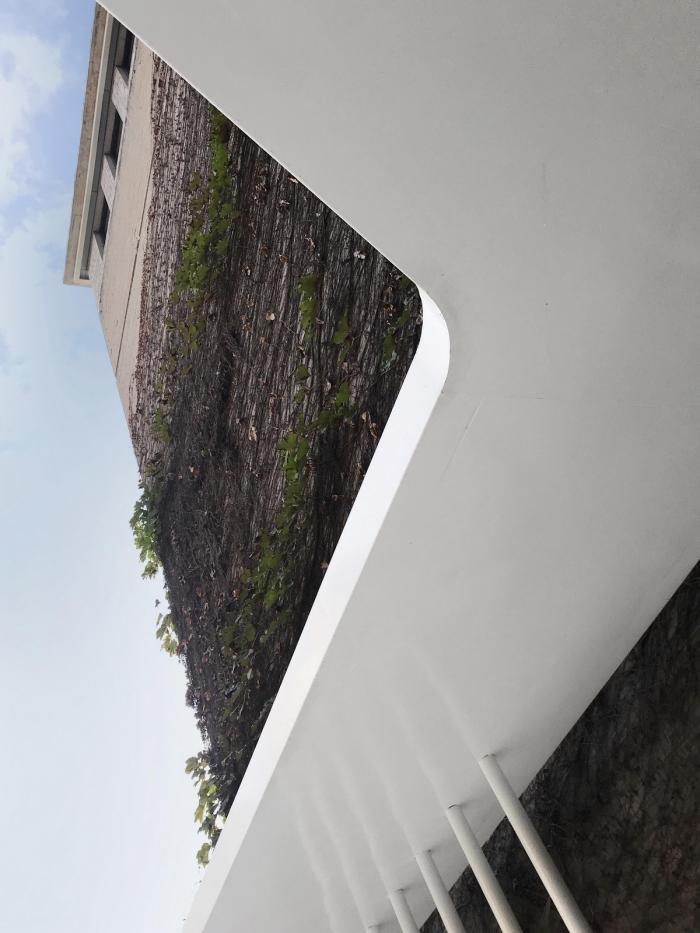 BIM建筑|嫁衣的裙摆——重庆印制一厂山鬼精品酒店改造 / 寻常设计 BIM建筑|嫁衣的裙摆——重庆印制一厂山鬼精品酒店改造 / 寻常设计