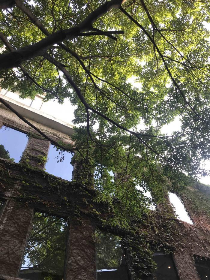 BIM建筑|嫁衣的裙摆——重庆印制一厂山鬼精品酒店改造 / 寻常设计 BIM建筑|嫁衣的裙摆——重庆印制一厂山鬼精品酒店改造 / 寻常设计