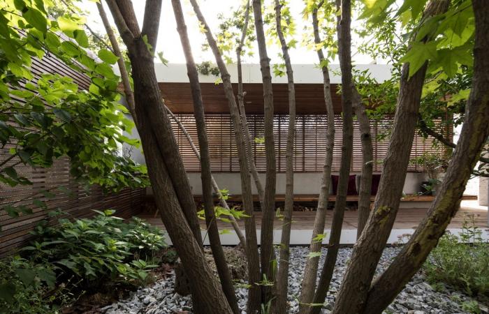 BIM建筑|两重院 / TAOA陶磊建筑 BIM建筑|两重院 / TAOA陶磊建筑