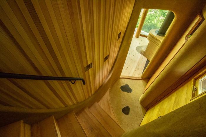 BIM建筑|可爱俏皮,森林中的壳型土屋 BIM建筑|可爱俏皮,森林中的壳型土屋