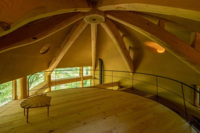 BIM建筑|可爱俏皮,森林中的壳型土屋 BIM建筑|可爱俏皮,森林中的壳型土屋