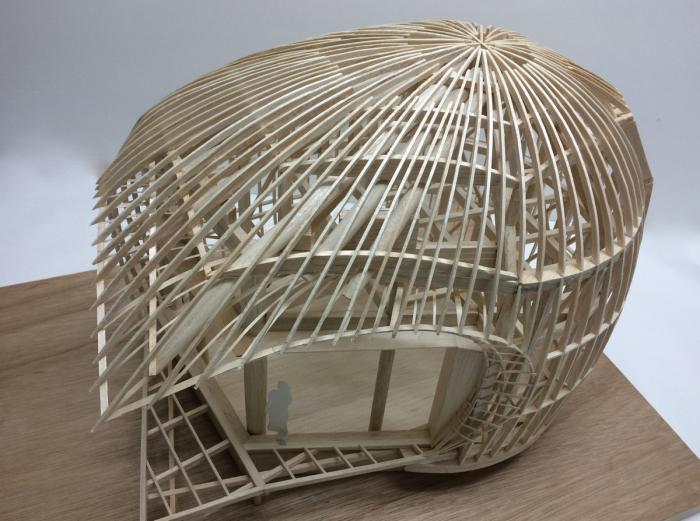 BIM建筑|可爱俏皮,森林中的壳型土屋 BIM建筑|可爱俏皮,森林中的壳型土屋