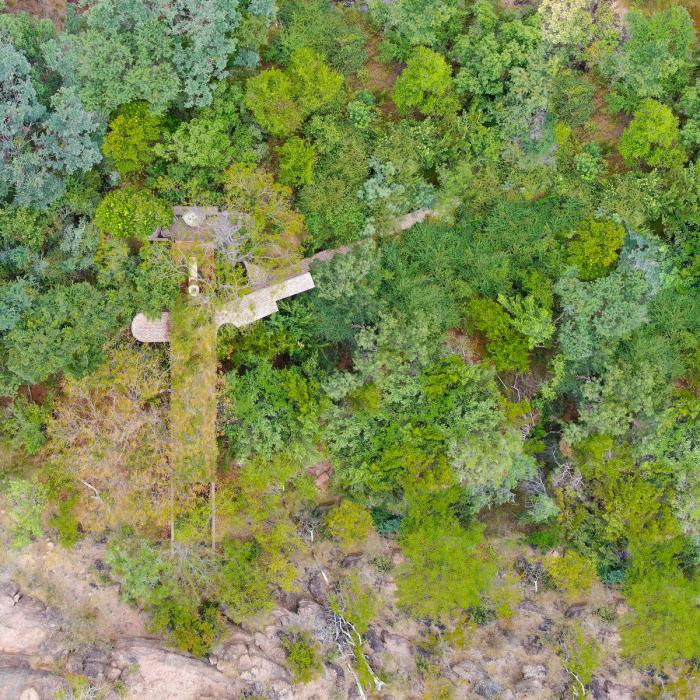 BIM建筑|清幽简居,消隐于森林:南非狭长之宅 BIM建筑|清幽简居,消隐于森林:南非狭长之宅