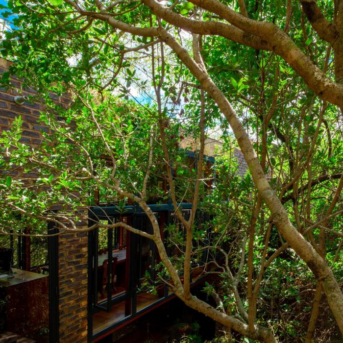 BIM建筑|清幽简居,消隐于森林:南非狭长之宅 BIM建筑|清幽简居,消隐于森林:南非狭长之宅