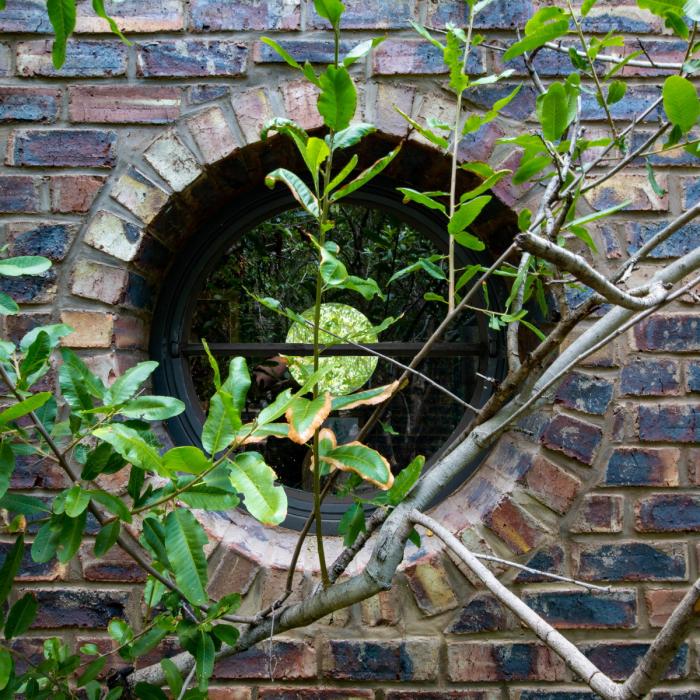 BIM建筑|清幽简居,消隐于森林:南非狭长之宅 BIM建筑|清幽简居,消隐于森林:南非狭长之宅