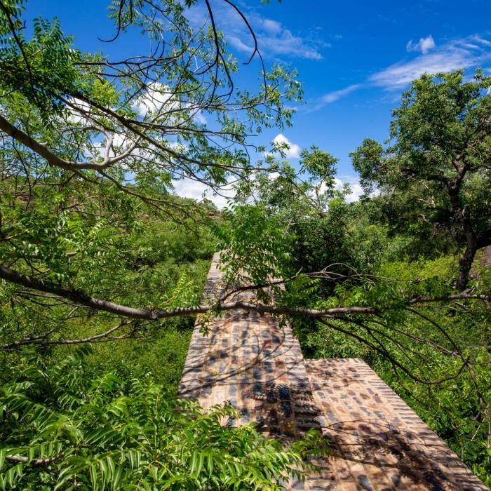 BIM建筑|清幽简居,消隐于森林:南非狭长之宅 BIM建筑|清幽简居,消隐于森林:南非狭长之宅