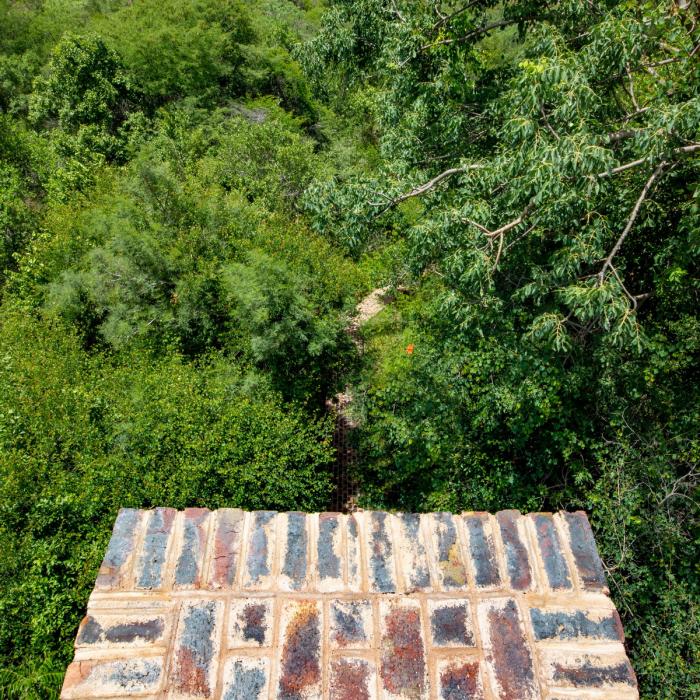 BIM建筑|清幽简居,消隐于森林:南非狭长之宅 BIM建筑|清幽简居,消隐于森林:南非狭长之宅