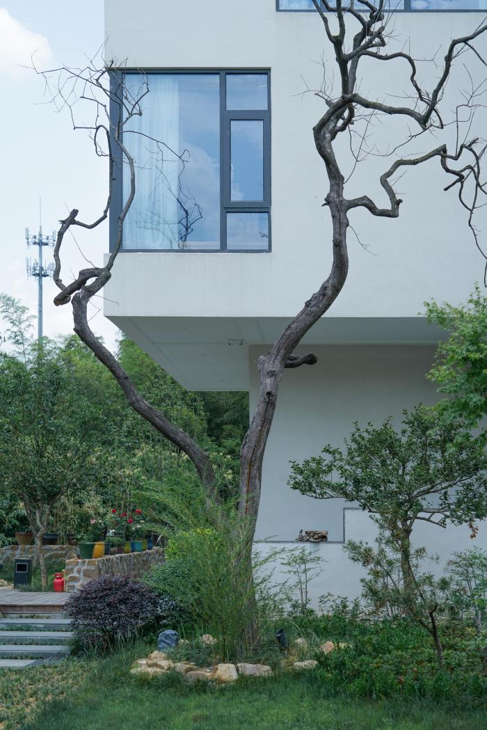 BIM建筑|松楼,宜兴 / 平介设计 BIM建筑|松楼,宜兴 / 平介设计