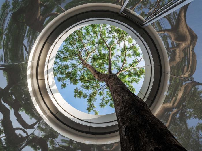 BIM建筑|浮山云舍 / Wutopia Lab BIM建筑|浮山云舍 / Wutopia Lab