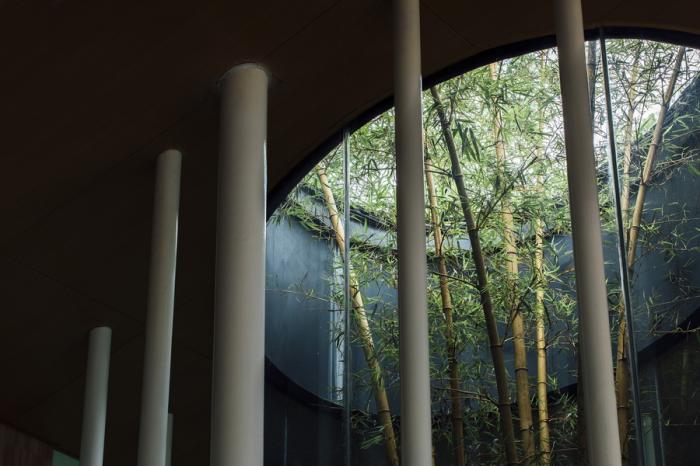 BIM建筑|竹枝书院 / 小隐建筑 BIM建筑|竹枝书院 / 小隐建筑