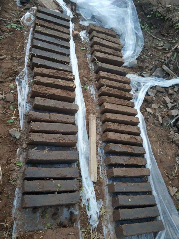 BIM建筑|太岳院子——造币局民宿 / 三文建筑 BIM建筑|太岳院子——造币局民宿 / 三文建筑