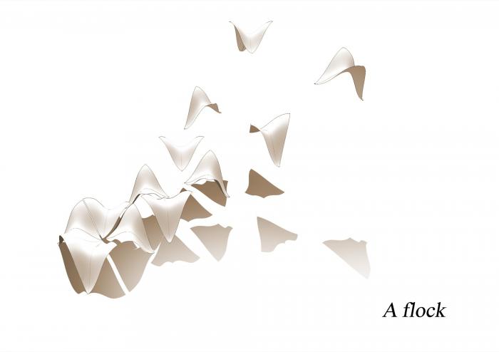 BIM建筑|Bosjes 教堂 / Steyn Studio BIM建筑|Bosjes 教堂 / Steyn Studio