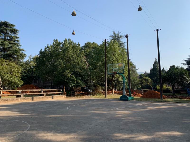 BIM建筑|留住乡愁、链接未来,龙游溪口乡村版未来社区 | 乡伴朱胜萱工作室 BIM建筑|留住乡愁、链接未来,龙游溪口乡村版未来社区 | 乡伴朱胜萱工作室