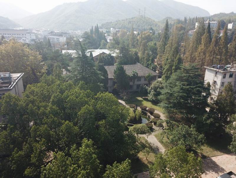 BIM建筑|留住乡愁、链接未来,龙游溪口乡村版未来社区 | 乡伴朱胜萱工作室 BIM建筑|留住乡愁、链接未来,龙游溪口乡村版未来社区 | 乡伴朱胜萱工作室