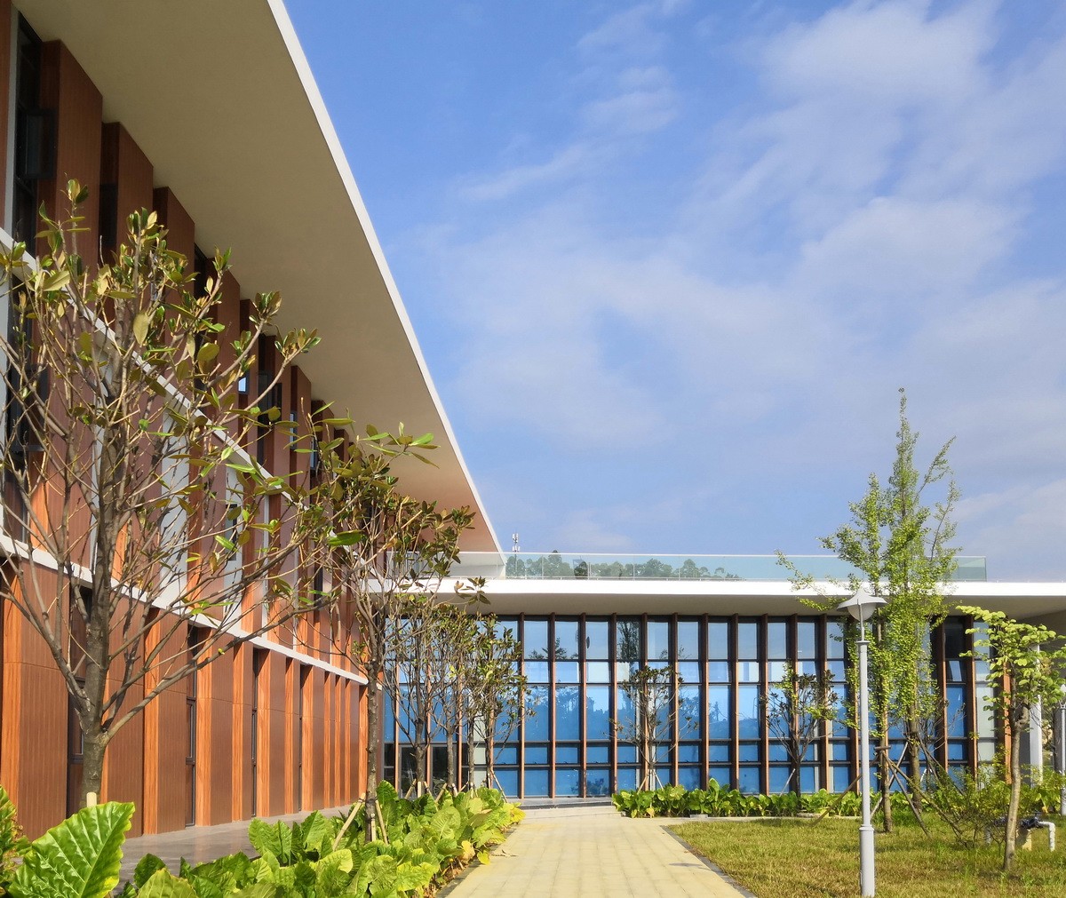 BIM建筑|广西贺州市.平桂档案馆——简洁至上 / 广西中盛建筑设计有限公司 BIM建筑|广西贺州市.平桂档案馆——简洁至上 / 广西中盛建筑设计有限公司