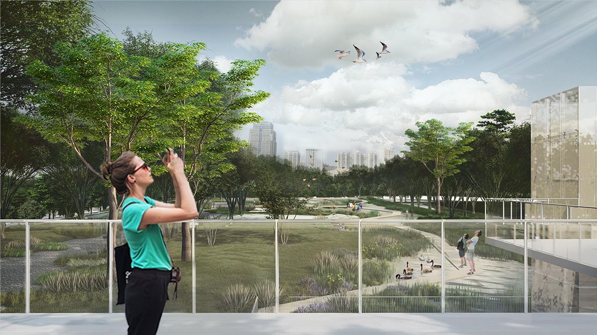 BIM建筑|中标方案 - 深圳红树林湿地博物馆项目国际竞赛 / 迹·建筑事务所(TAO)+AECOM BIM建筑|中标方案 - 深圳红树林湿地博物馆项目国际竞赛 / 迹·建筑事务所(TAO)+AECOM