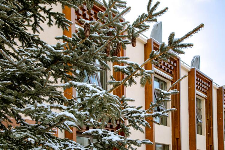 BIM建筑|喀拉卡尔藏族美食文化中心,香格里拉 / 平介设计 BIM建筑|喀拉卡尔藏族美食文化中心,香格里拉 / 平介设计