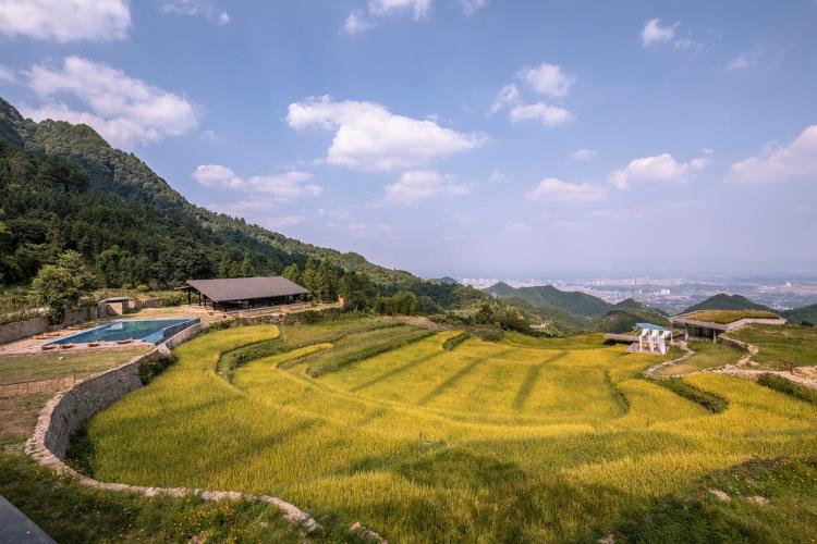 BIM建筑|可居可游,在半山稻田之间:重庆垫江巴谷宿集建筑设计 / 三文建筑 BIM建筑|可居可游,在半山稻田之间:重庆垫江巴谷宿集建筑设计 / 三文建筑