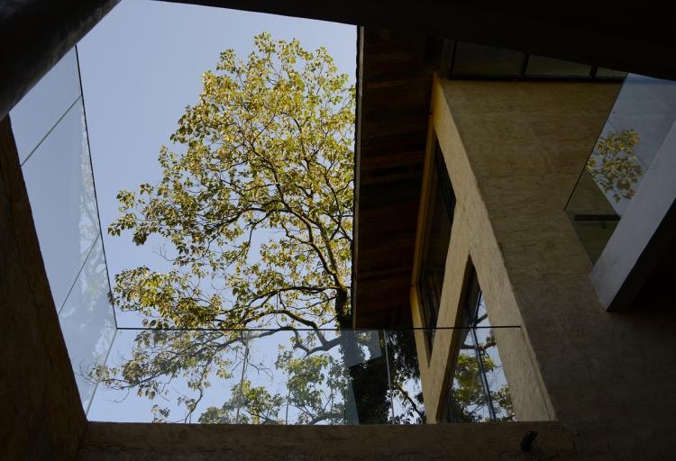 BIM建筑|可居可游,在半山稻田之间:重庆垫江巴谷宿集建筑设计 / 三文建筑 BIM建筑|可居可游,在半山稻田之间:重庆垫江巴谷宿集建筑设计 / 三文建筑