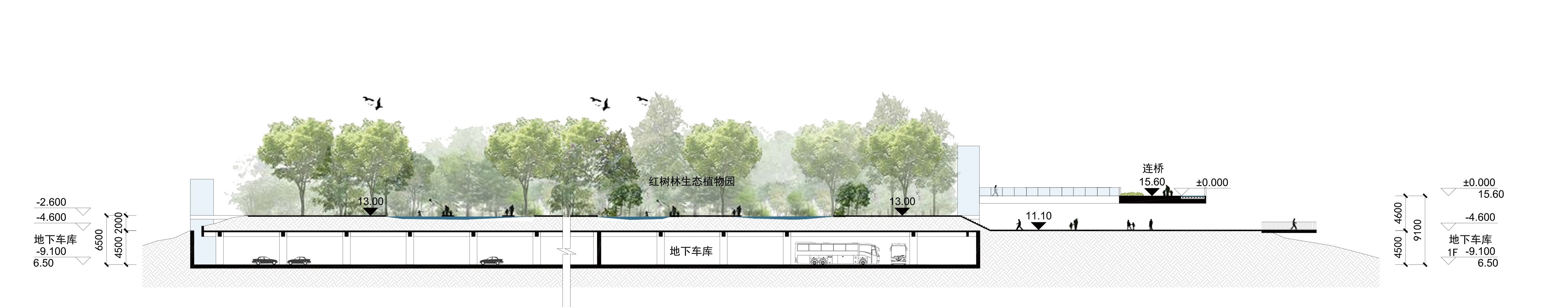 BIM建筑|中标方案 - 深圳红树林湿地博物馆项目国际竞赛 / 迹·建筑事务所(TAO)+AECOM BIM建筑|中标方案 - 深圳红树林湿地博物馆项目国际竞赛 / 迹·建筑事务所(TAO)+AECOM