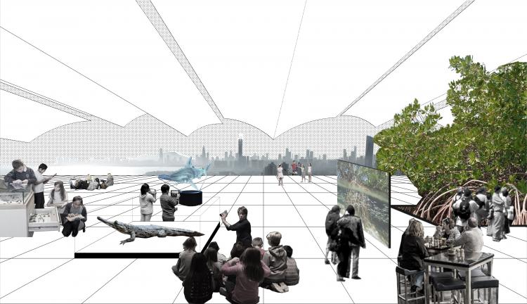 BIM建筑|中标方案 - 深圳红树林湿地博物馆项目国际竞赛 / 迹·建筑事务所(TAO)+AECOM BIM建筑|中标方案 - 深圳红树林湿地博物馆项目国际竞赛 / 迹·建筑事务所(TAO)+AECOM